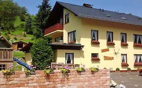 Ferienwohnung Sonnentraum - Appartement 5 Willingen